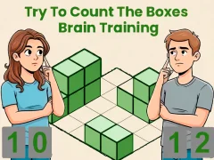 Spel Try To Count The Boxes Brain Training online