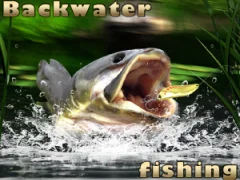 Spel Backwater Fishing online