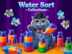 Spel Water Sort - Collections online