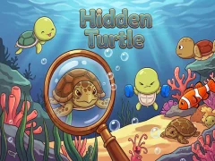 Spel Hidden Turtle online