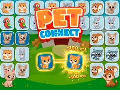 Spel Pet connect online