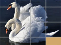 Spel Animals Slide Puzzle online