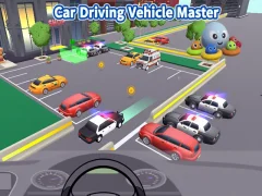 Spel Car Driving Vehicle Master online