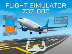Spel Flight Simulator 737-800 online