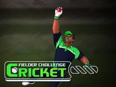 Spel Cricket Fielder Challenge online