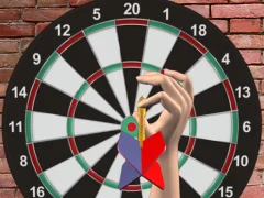 Spel Darts 501 online