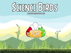 Spel Science Birds online