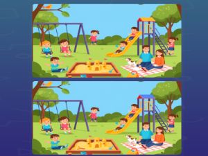 Spel Vind het verschil diffsy_1 online