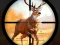 Spel Wild Hunting Clash online