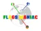Spel Flags Maniac online