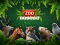 Spel ZOO Trivia online