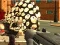 Spel Dino Hunter online