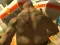 Spel Monster Simulator online