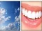 Spel 4x1 Picture Quiz online