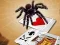 Spel Jumping Spider online