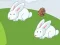 Spel Crazy Eggs online
