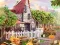 Spel Taste the Tradition online