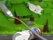 Spel Monte's Zott: Flight on a spoon online