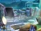 Spel The Mysterious Creatures online