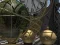 Spel Planetarium online