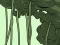 Spel Abandoned the Forest online
