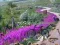 Spel Vanishing Trail online
