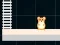 Spel Hamster Grid Even Odd online