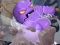 Spel Break The Rock online