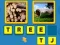 Spel Assotiation online