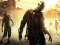 Spel Stupid Zombies Hunt online