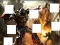 Spel Transformers 3 image puzzles online