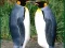 Spel Penguin Puzzle online