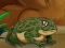 Spel Frogs Matching online