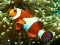 Spel Underwater Hidden Numbers online