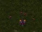 Spel Starcraft 3 online