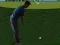 Spel Flash Golf 3D online