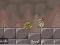 Spel Roly-Poly Eliminator 2 online