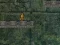 Spel Bunny Adventure online