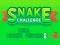 Spel Snake Challenge online