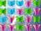Spel Butterfly Collector online