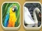 Spel Match Zoo online
