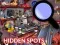 Spel Hidden Spots In The Room online