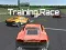 Spel Training Race online