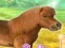 Spel My Dear Pony online