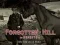 Spel Forgotten Hill Memento: Run Run little Horse online