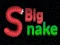 Spel Big Snake.io online