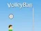 Spel VolleyBall online