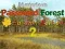 Spel Mysterious Password Forest Autumn Edition 2 online