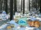 Spel Winter Wonderland Forest Adventure online