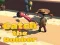 Spel Catsh the robber online